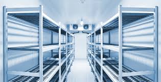 The Essential Guide to Dry Storage: Protecting Your Non-Perishable Goods